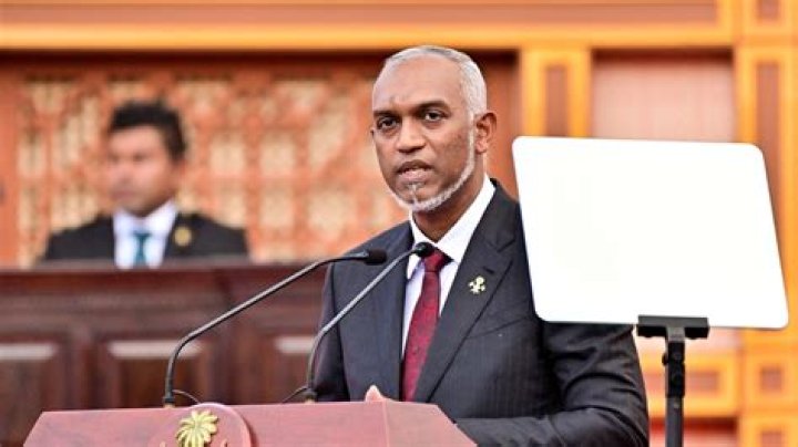 Aimee Nash Age: Unraveling the Curiosity Behind a Common Search