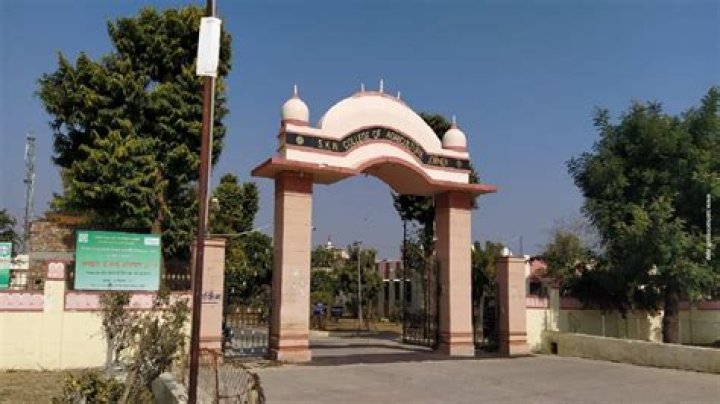 Chantel Everett Ethnicity / Religion : Biography, Net worth, Age, Family & More details - SarkariResult