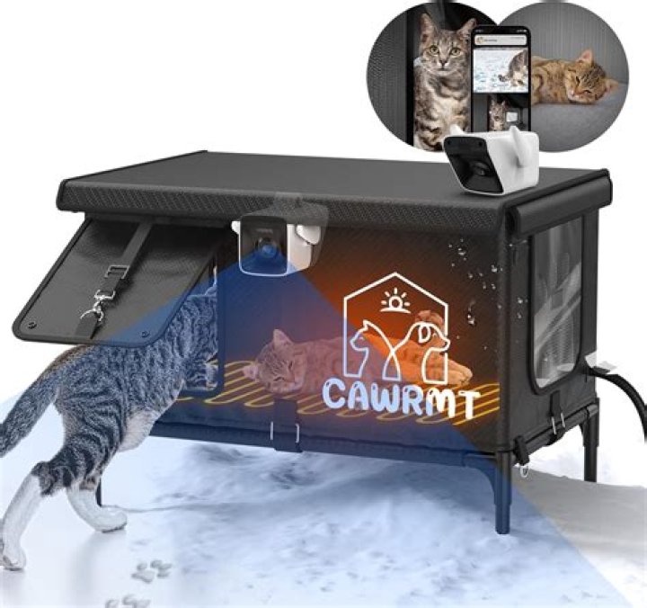 Discovering Angela Young Cathouse: A Look at the Beloved Virtual Star