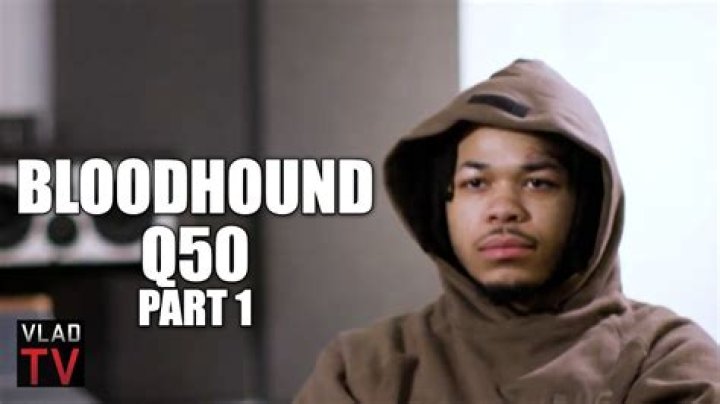 Discovering Bloodhound Q50's Height: A Look at the Artist's Presence