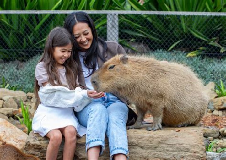 Disney Dreamlight Valley: What Do Capybara Eat? How to feed Capybaras? - SarkariResult