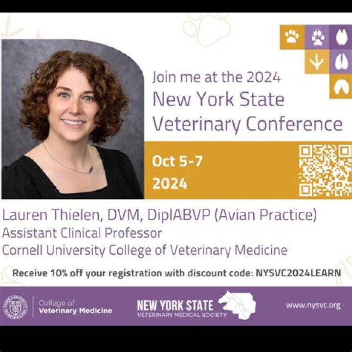 Dr. Lauren Thielen married, dating, affairs, net worth, salary, wiki-nbio