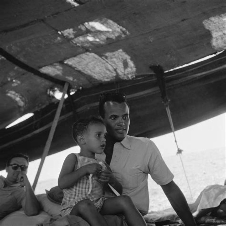 Exploring Stephen Belafonte's Father: What We Know