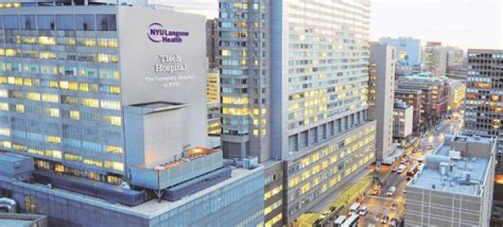 Identity of Zaki Masoud: NYU Langone Winthrop Hospital Physician Under Scrutiny for Controversial Statement on Recent Events - SarkariResult