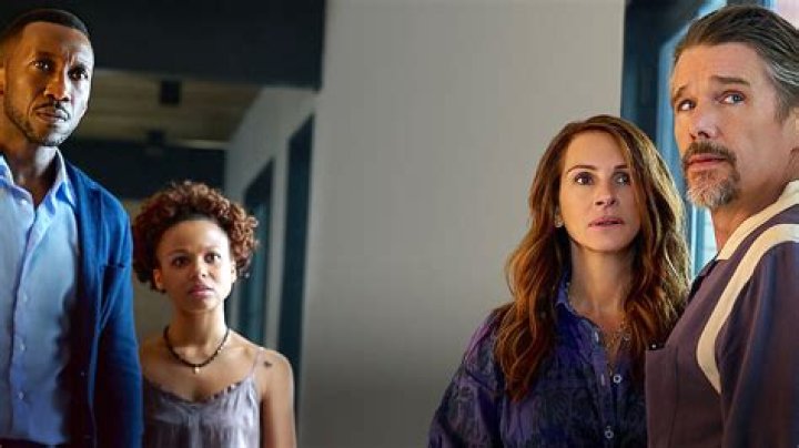 Rachel Riley IQ: Unpacking the Brain Behind the Numbers