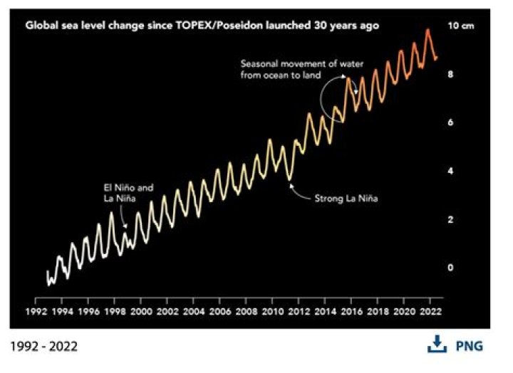 The Evolved Fight: How Competition Changes Over Time