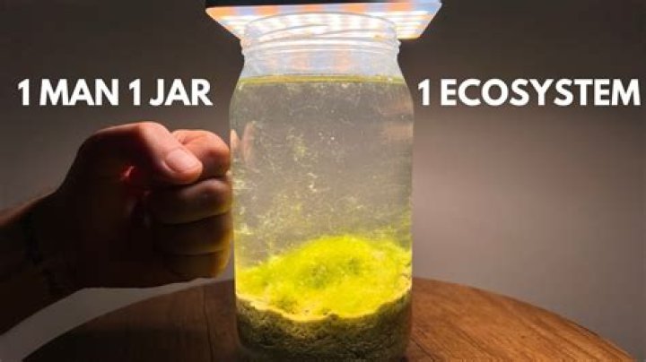 The Story Behind 1 Man One Jar: Understanding an Internet Curiosity