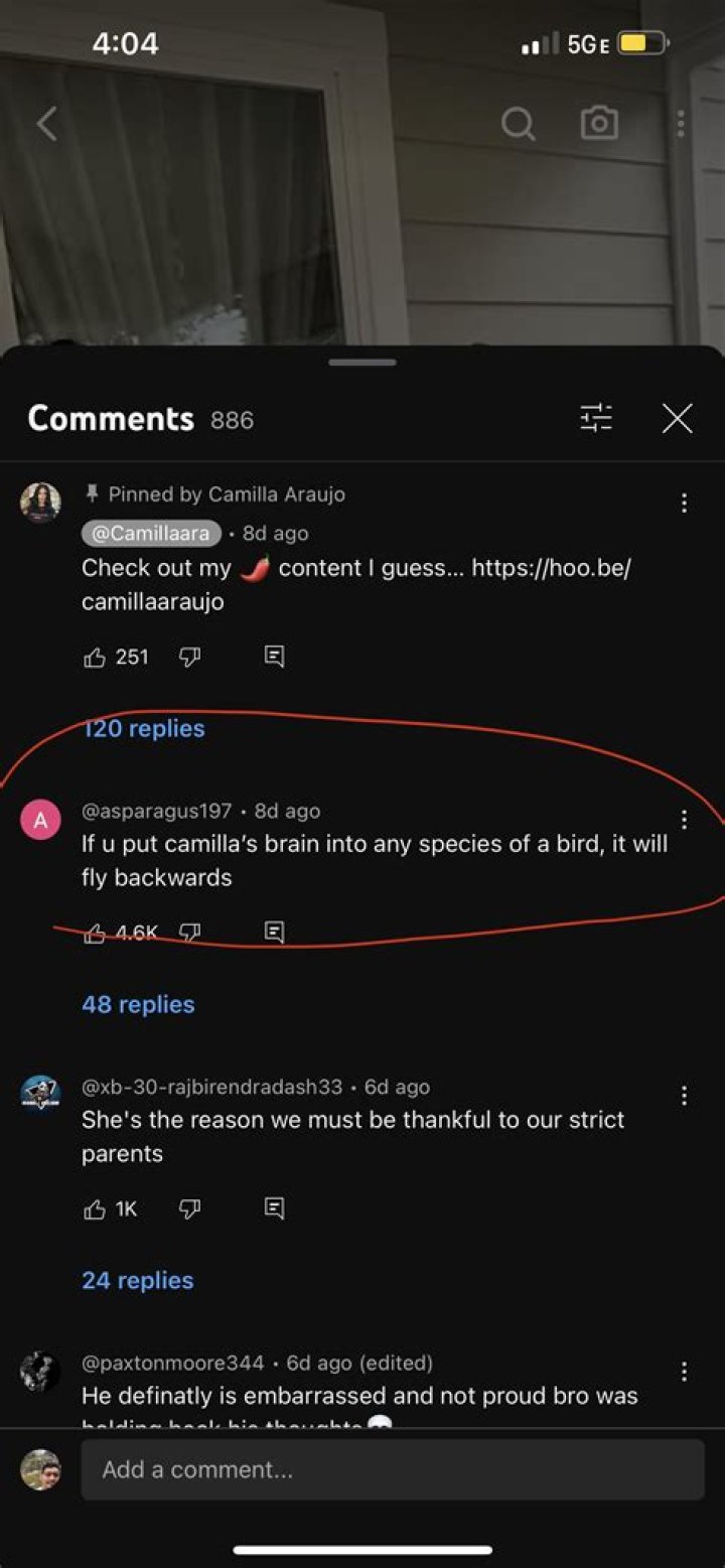 The Truth Behind 'Camilla Araujo Leaked Of': What Online Searches Really Mean for Privacy