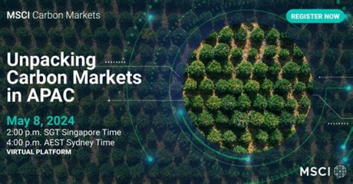 Unpacking Milo Miore: The Spirit of Sustained Energy and Achievement