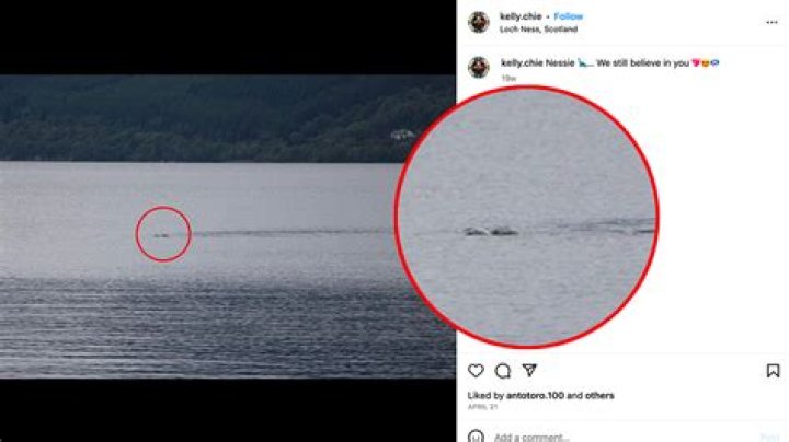 Who Is Chie Kelly? Woman reveals Loch Ness Monster pictures - News