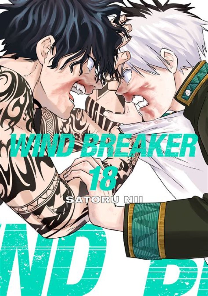 Wind Breaker Chapter 459 Spoiler, Raw Scans Reddit, Release Date And Characters